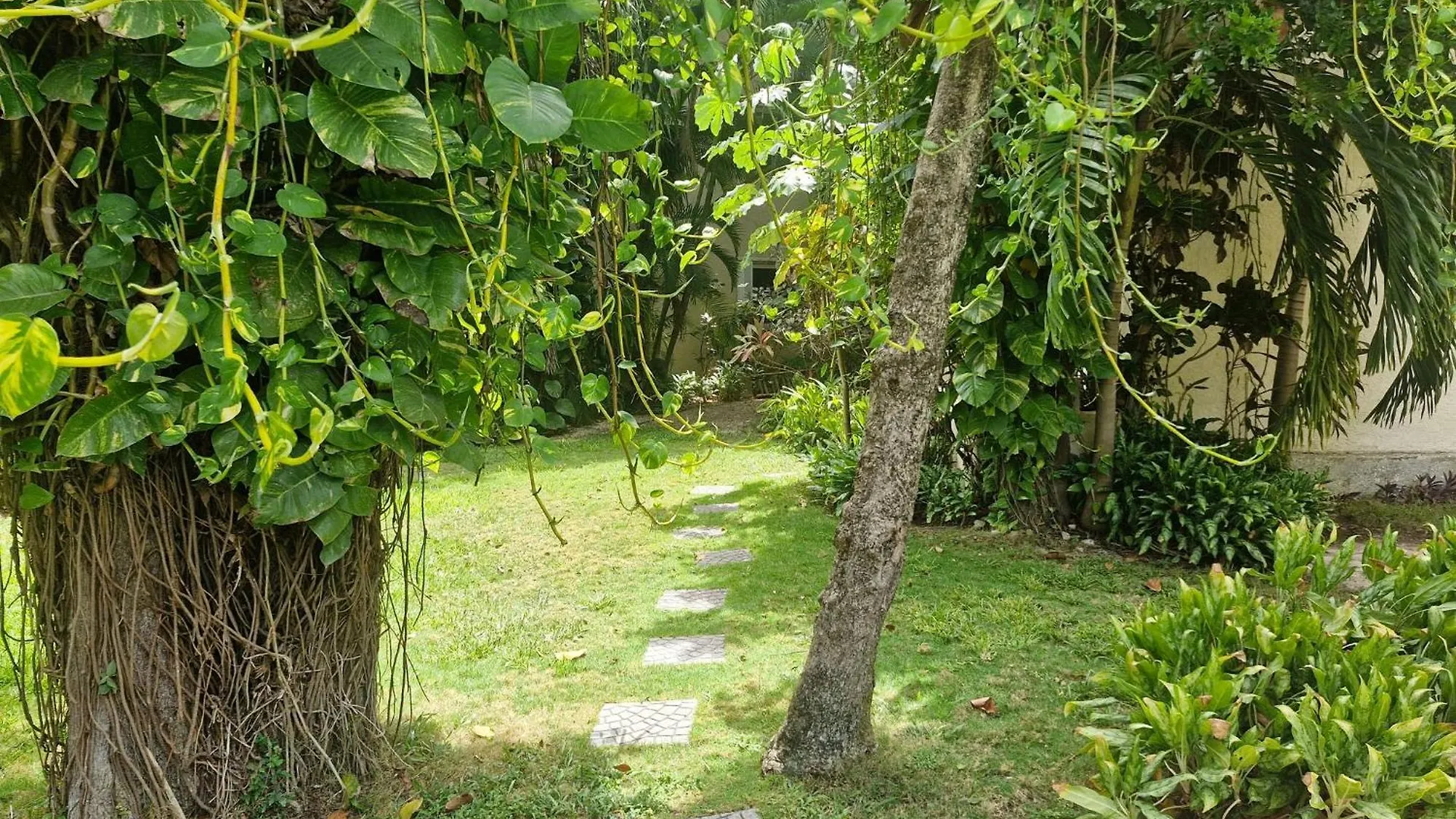 Luxurious Apartment In Playacar With Golf 신데 델 카르멘 멕시코