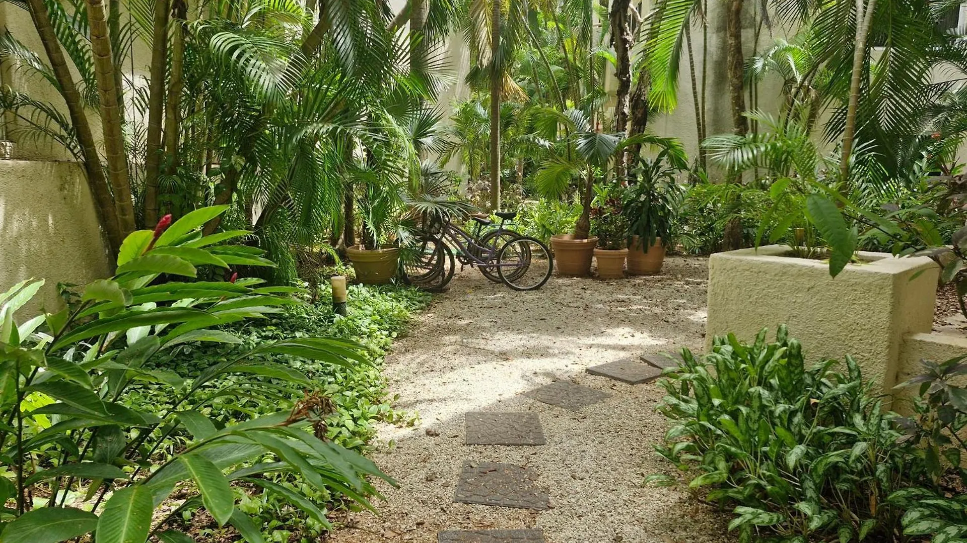 Luxurious Apartment In Playacar With Golf Playa del Carmen 0*,  Meksyk
