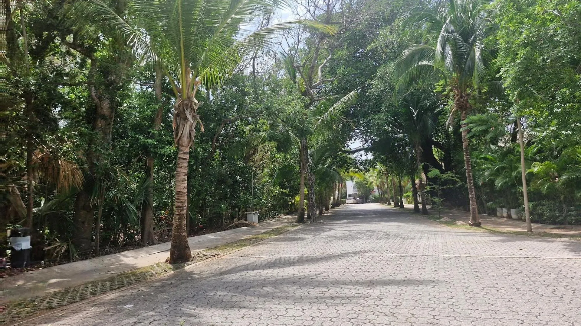 Luxurious Apartment In Playacar With Golf 신데 델 카르멘
