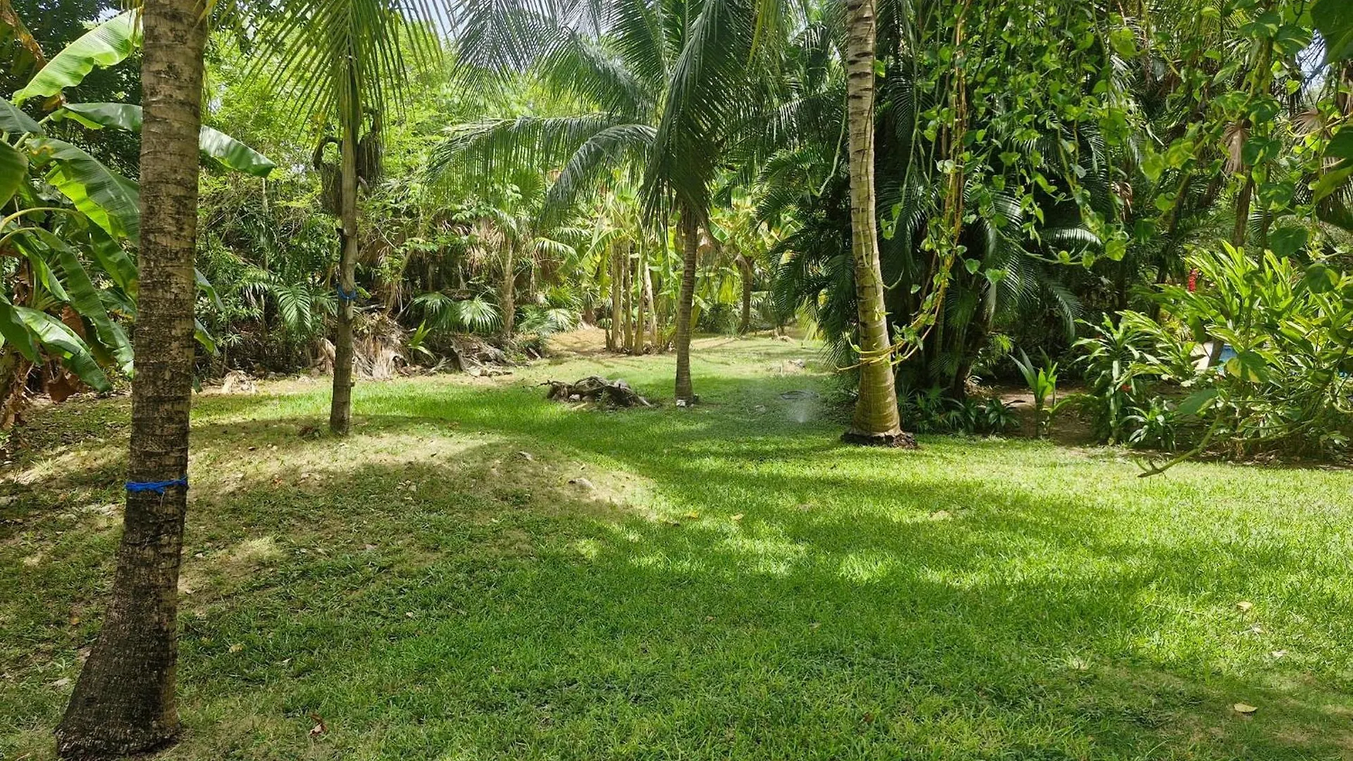 Luxurious Apartment In Playacar With Golf Playa del Carmen