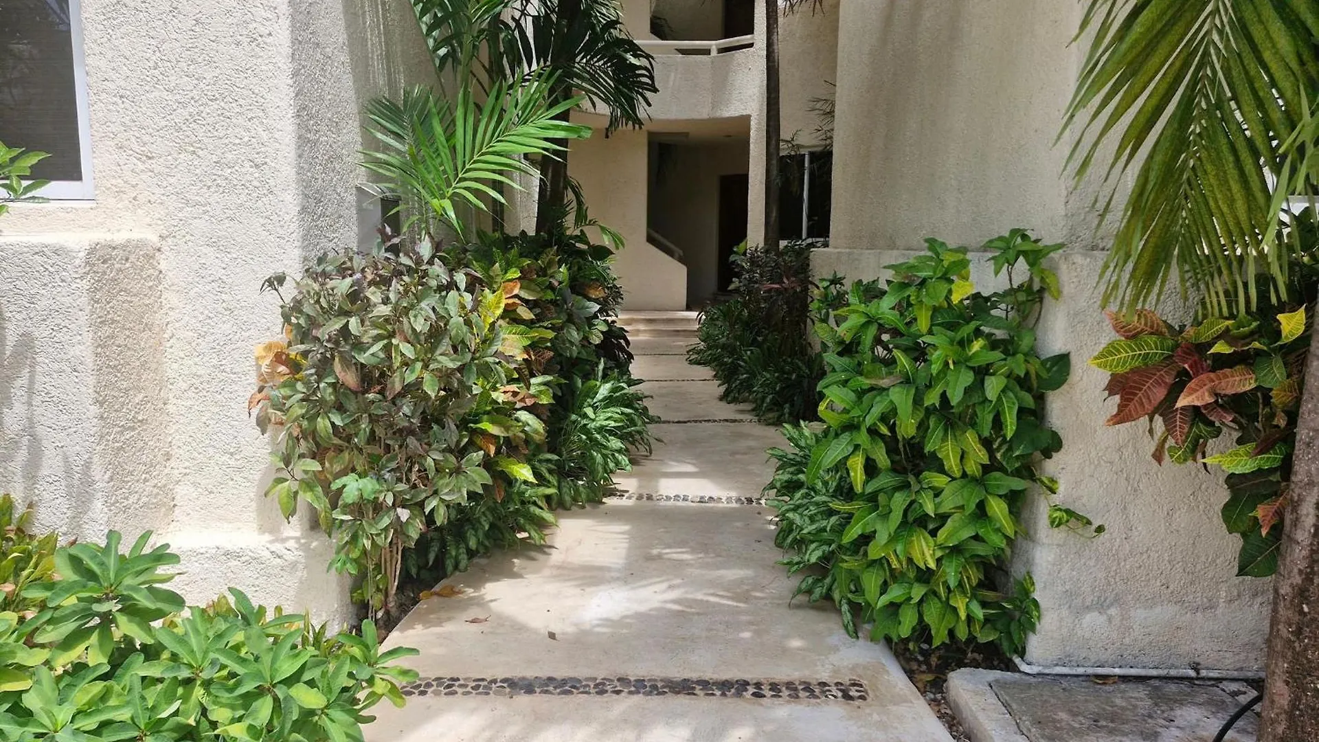 Luxurious Apartment In Playacar With Golf Playa del Carmen